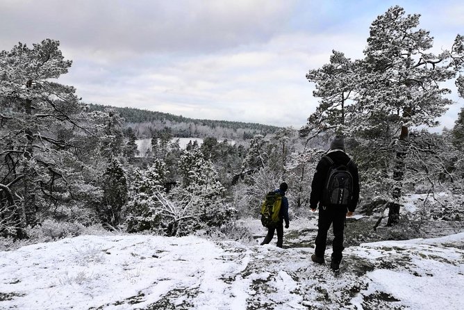 1-Day Small-Group Stockholm Nature Hiking - Key points at a glance