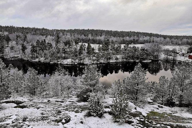 1-Day Small-Group Stockholm Nature Hiking - A national park walk with room to ask questions