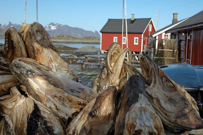 2-Day Lofoten Highlights Photo Tour (Summer) - Day two: Flakstad, Reine, and the southern islands