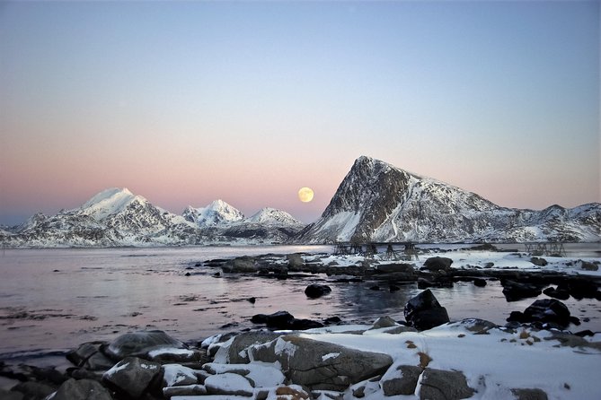 2- Day Lofoten Top Highlights Photo Tour - The vehicle matters more than you might expect