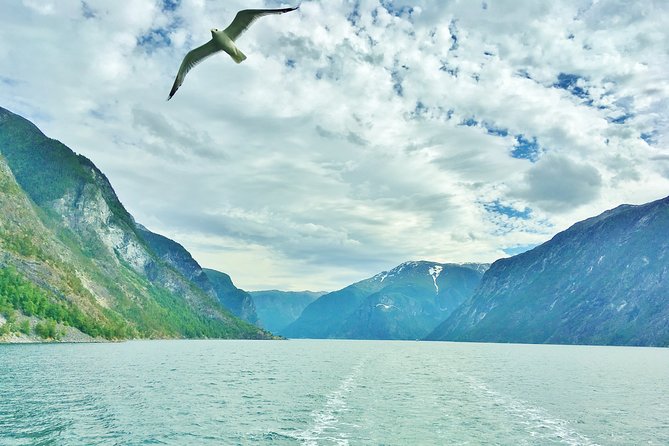 2-Day Round Trip from Bergen: THE GRAND SOGNEFJORD – fjords, waterfalls, glacier - Gudvangen and the Nærøyfjord choice
