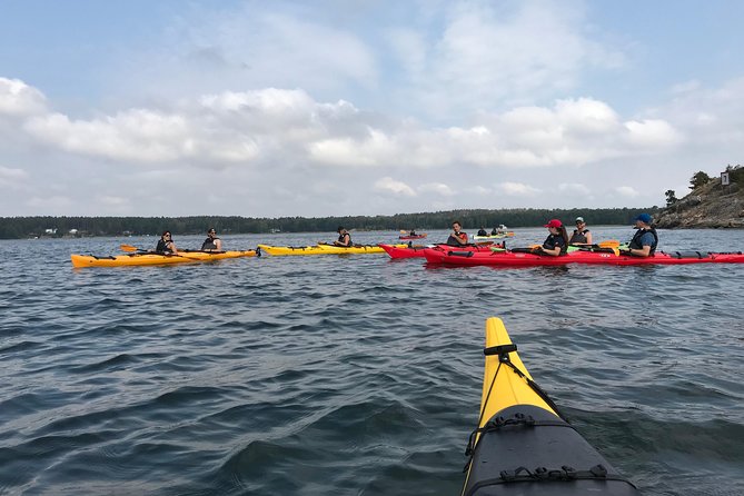 2-Day Small-Group Stockholm Archipelago Kayak Tour - Who will enjoy this most