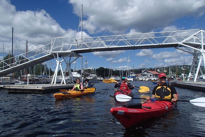 2- hour kayak trip on the Oslo Fjord - Wildlife, scenery, and the quieter side of the fjord