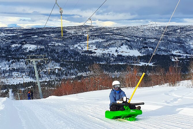 2-Hour Racing Toboggan at Dagali Fjellpark near Geilo in Norway - Who will enjoy Dagali most?