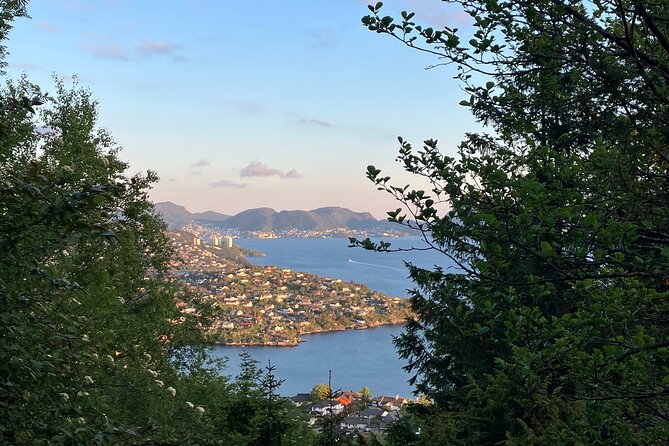 3-Hour Private Norwegian Hiking Experience with Local Guide - The guide makes the private format worthwhile