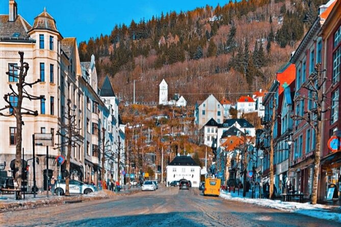 3-Hour Private Tour Hiked through the Bergen Mountains - Who should book this private Bergen hike?
