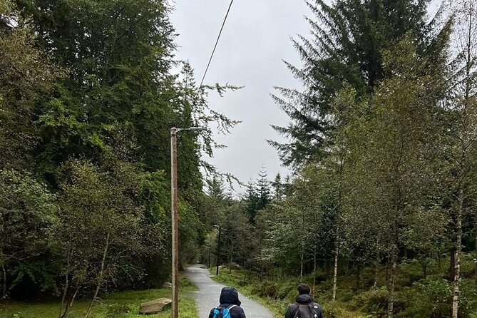 3-Hour Private Tour Hiked through the Bergen Mountains - A private guide makes the route more flexible