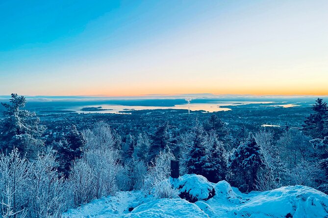 4 hours Best View of the Oslofjord Winter Edition - From central Oslo to the Frognerseteren line