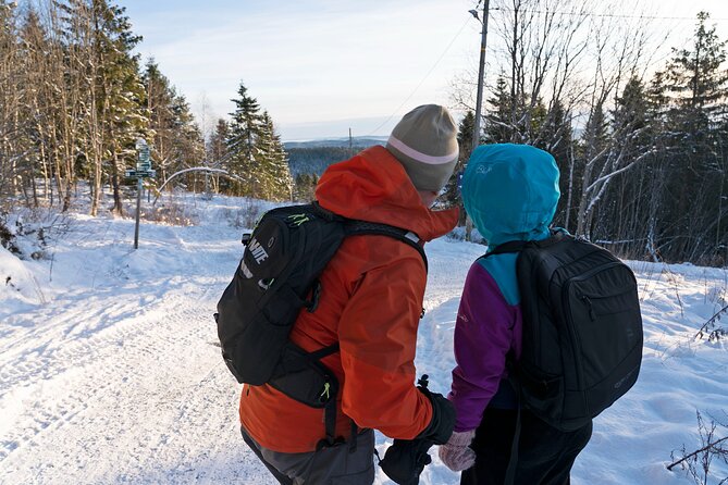 4 hours Best View of the Oslofjord Winter Edition - The climb to Vettakollen Viewpoint