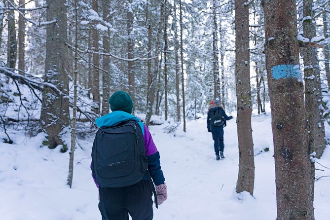 4 hours Best View of the Oslofjord Winter Edition - How much value do you get for $107.17?