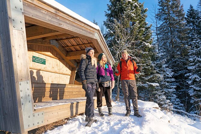 4 hours Best View of the Oslofjord Winter Edition - Fitness, footwear, and winter preparation