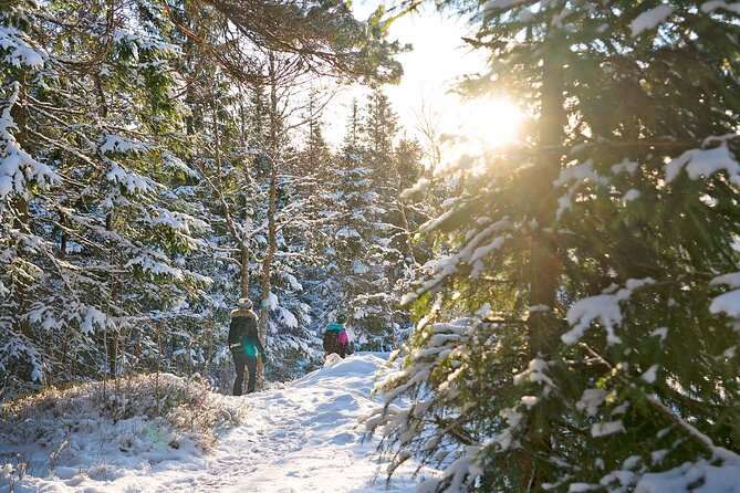 4 hours Best View of the Oslofjord Winter Edition - The guide and group experience