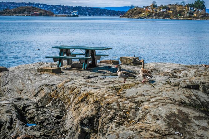 4 Hours Island Hopping Tour in Oslo - How much walking should you expect?