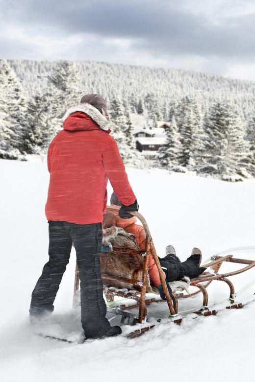4hr Dog Sledding Trip on Finnmarksvidda - From Alta to Gargia Mountain Lodge