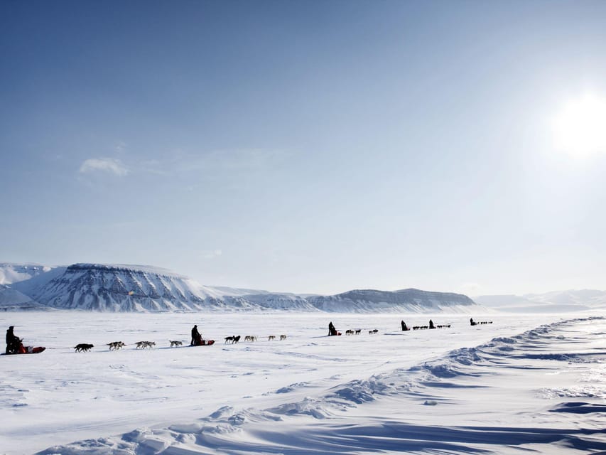 4hr Dog Sledding Trip on Finnmarksvidda - Returning to Gargia for coffee and local stories