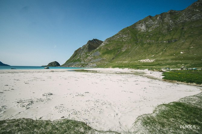 5 Highlights Of Lofoten From Svolvær - Five useful things to know before booking