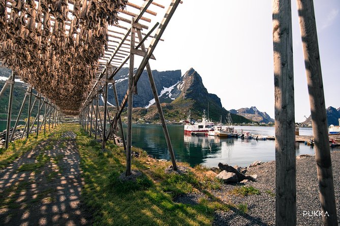 5 Highlights Of Lofoten From Svolvær - Kabelvåg Church and the story of cod fishing
