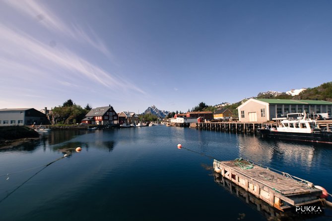 5 Highlights Of Lofoten From Svolvær - Haukland Beach, cold water and big views