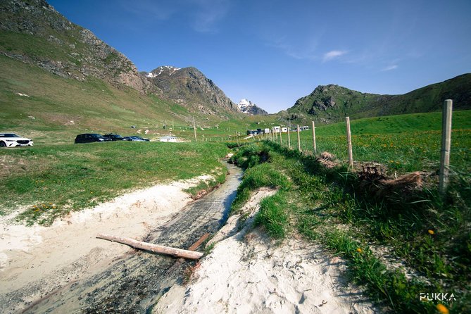 5 Highlights Of Lofoten From Svolvær - Henningsvær, art and life around the harbor