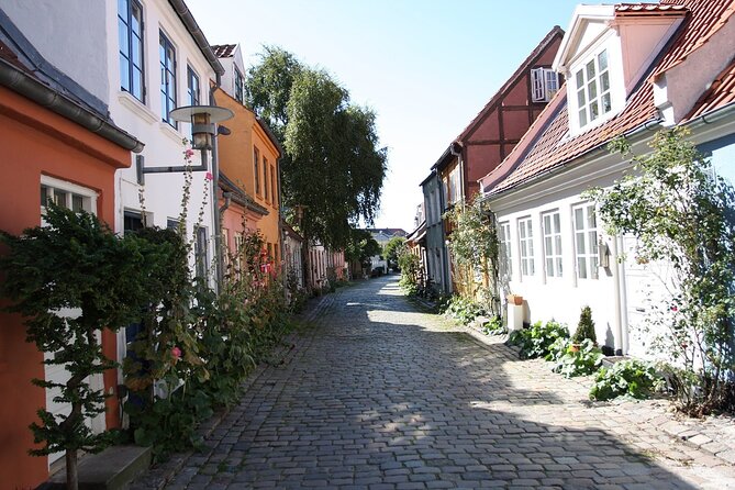 Aarhus Walking Tour: Explore Top Sights & Hidden Gems - Pace, group size, and hearing the guide