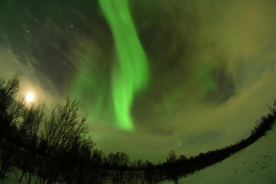 Abisko: Aurora Chasing with Snowmobiles - Choosing between your own snowmobile and the guide’s sled