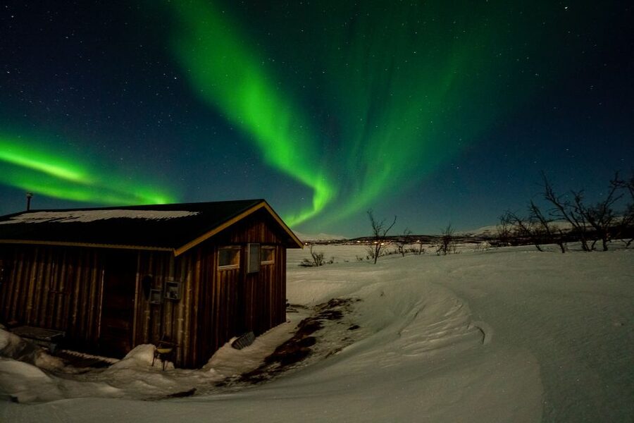 Abisko: Aurora Snowshoeing - Entering Abisko’s birch forest after dark