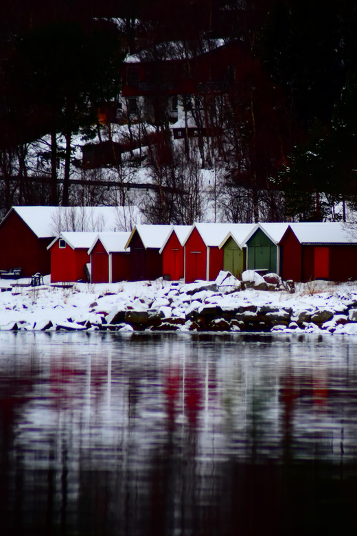 Abisko: Fjord Sightseeing and Photography Tour - Photography help without a photography course