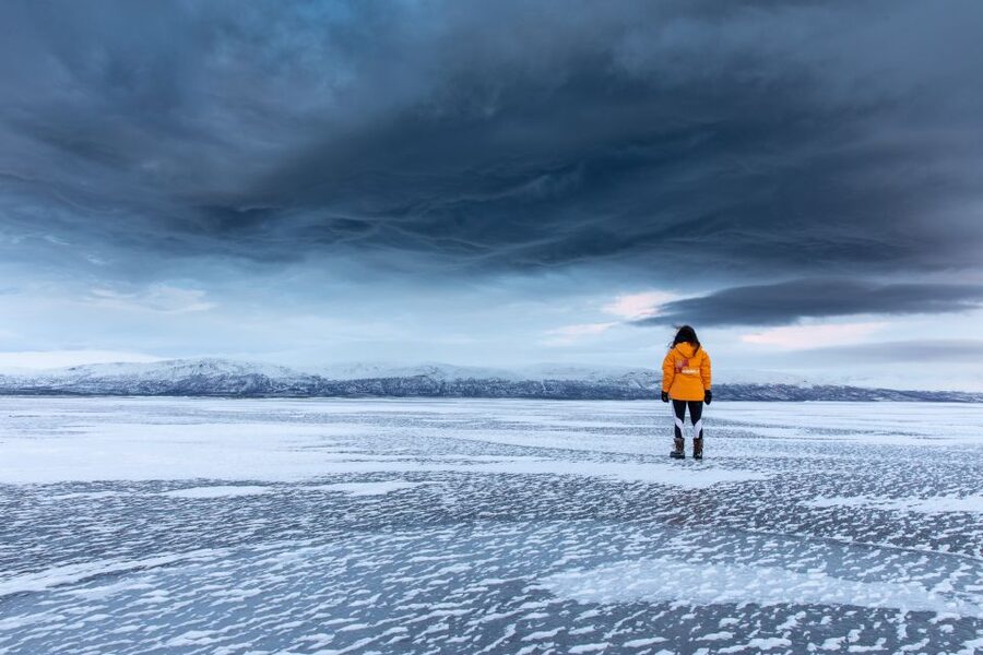 Abisko National Park: Scenic Morning Hike with Transfer - Wildlife signs are often the real attraction