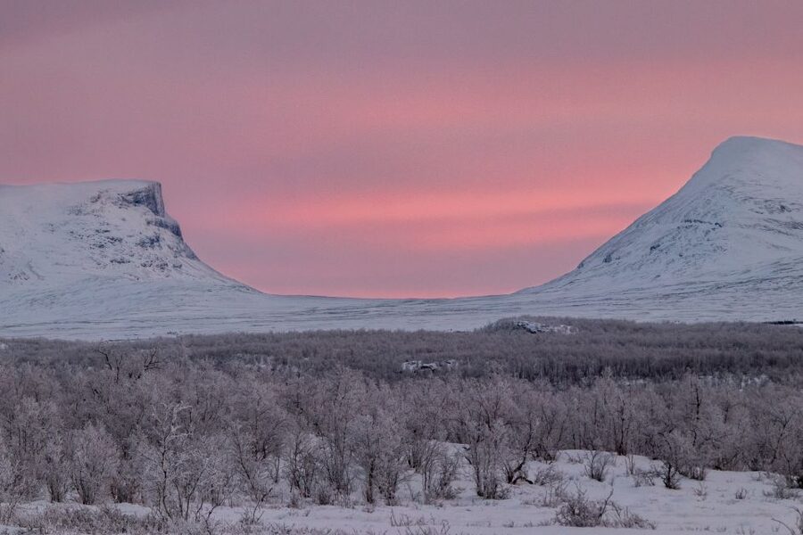 Abisko National Park: Scenic Morning Hike with Transfer - What you are paying for at $88
