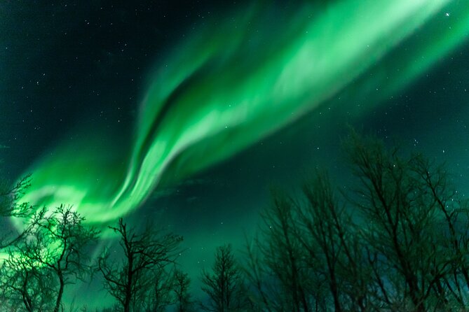 Abisko Northern Lights Tour with Photographer - Chasing clear skies toward Kiruna