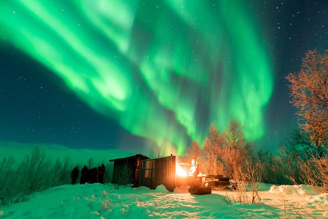 Abisko Northern Lights Tour with Photographer - Viking stories while the sky stays dark