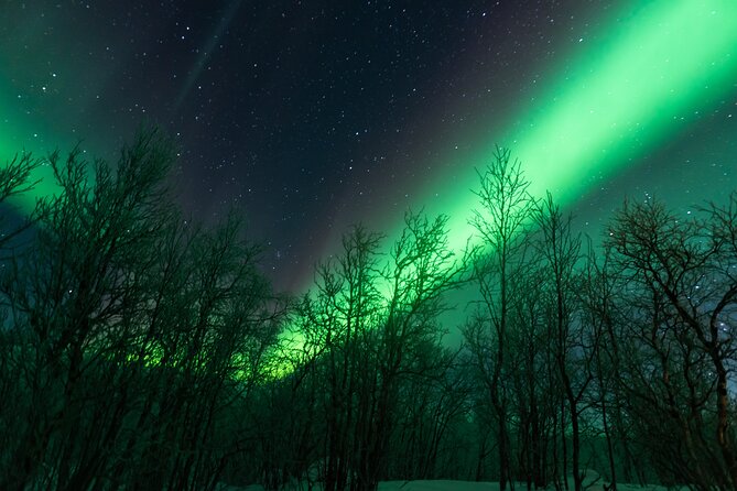 Abisko Northern Lights Tour with Photographer - Starting in Abisko at 7:00 pm