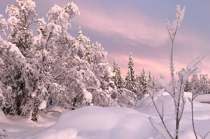 Afternoon Snowmobile Tour - Is $178.32 a fair price?