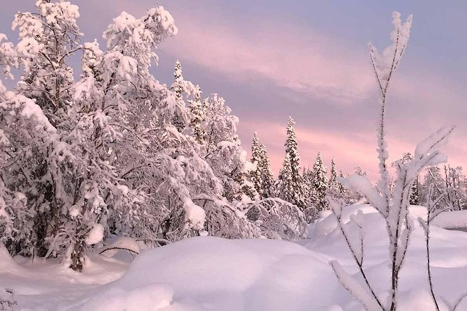 Afternoon Snowmobile Tour - Who should book this Kiruna experience?