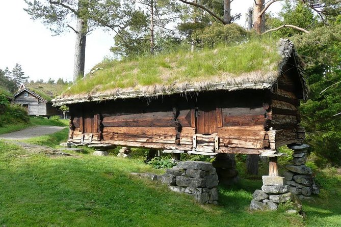 Alesund 3 hrs Private tour Medieval Village Sunnmore - Ålesund’s center, with three ways to see it