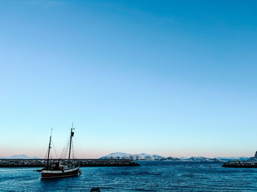 Ålesund: Ålesund and Surrounding Islands Audio Guide Tour - Aksla viewpoint and the choice to walk down