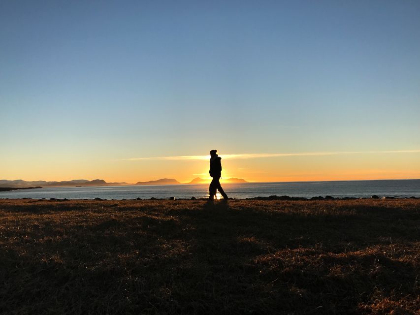 Ålesund: Ålesund and Surrounding Islands Audio Guide Tour - Should you book the Godøya, Alnes, and Aksla tour?