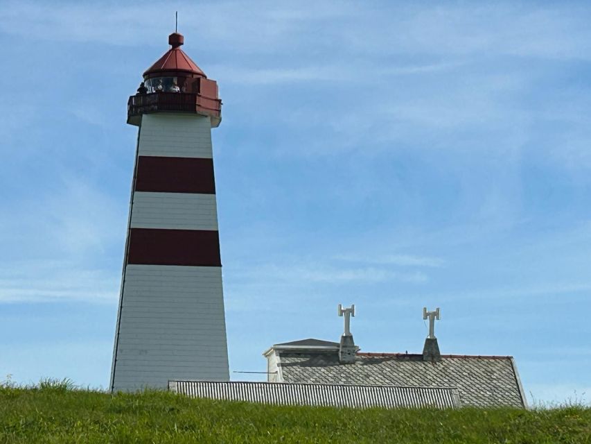 Ålesund: Giske and Godøy Islands Guided Sightseeing Tour - Who gets the best value from the $113 price