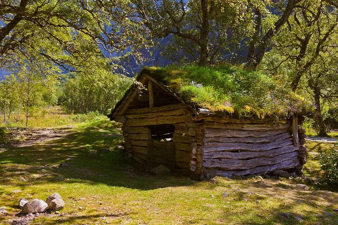 Alesund Shore Excursion: The Ultimate Sightseeing Tour - Sunnmøre Museum brings local life into focus