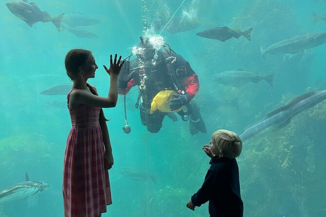 All Alesund Highlights in one tour - Atlanterhavsparken’s cold-water sea life