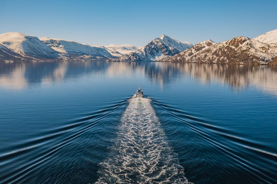 Alta: Altafjord Whale Watching in a Heated Boat - Four hours on Sea Runner