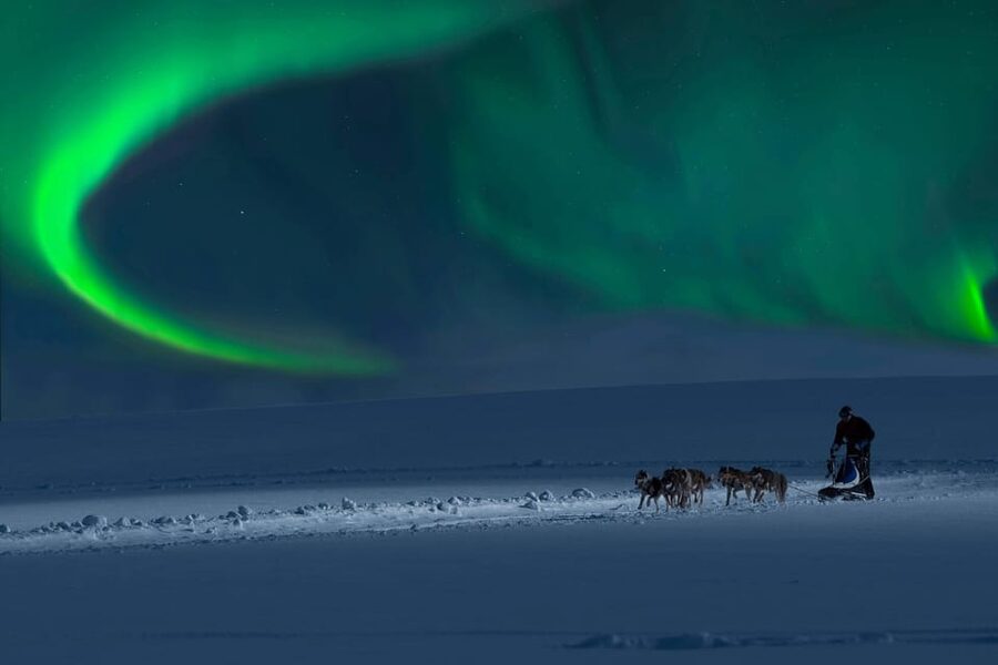 Alta: Dog Sledding Trip under the Northern Lights - Coffee, snacks, and stories at Gargia Lodge