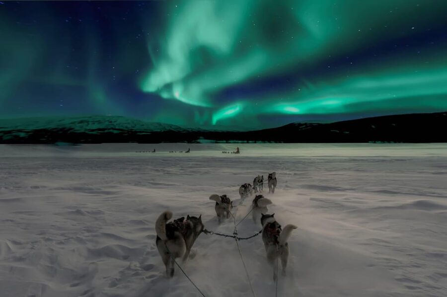 Alta: Dog Sledding Trip under the Northern Lights - Dressing for the Arctic cold
