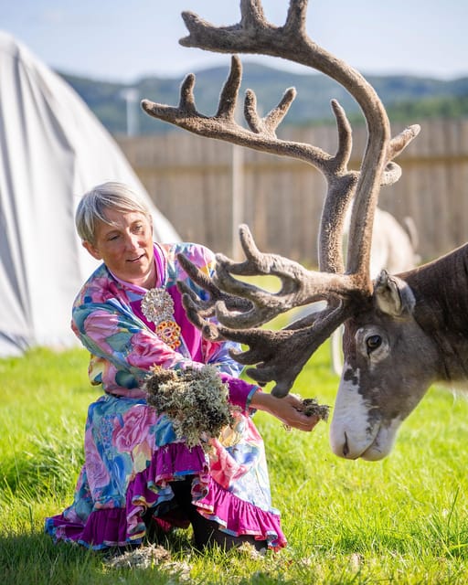 Alta: Reindeer - A carrier of Sámi Culture - Key points about this Alta reindeer visit