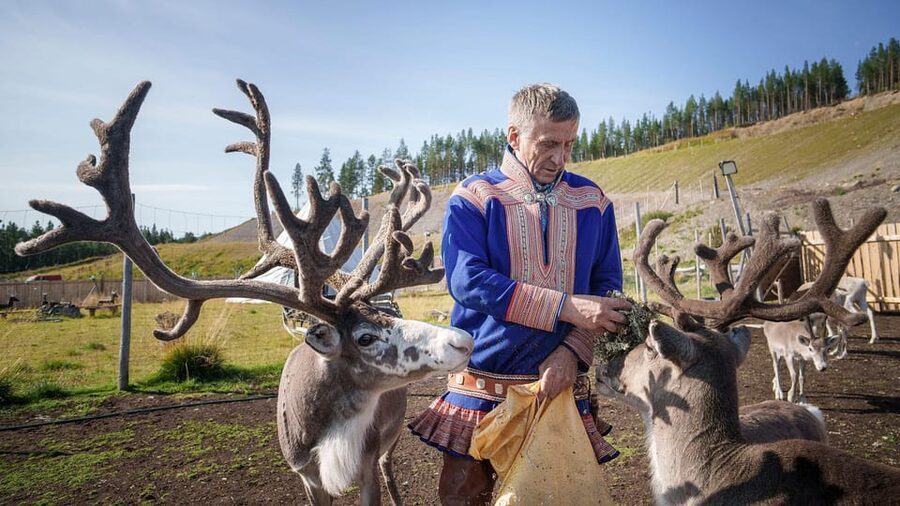 Alta: Reindeer - A carrier of Sámi Culture - Why reindeer matter to the Sámi
