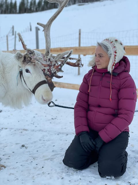 Alta: Sami Cultural Experience with Lavvu and Reindeers - Sami stories told by people with a personal connection