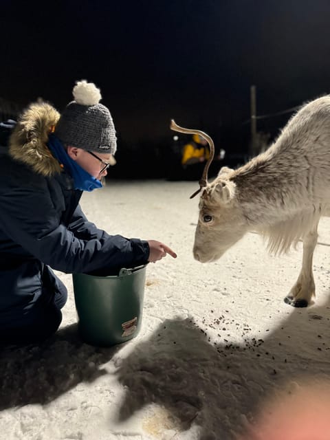 Alta: Sami Cultural Experience with Lavvu and Reindeers - Cold-weather planning and accessibility