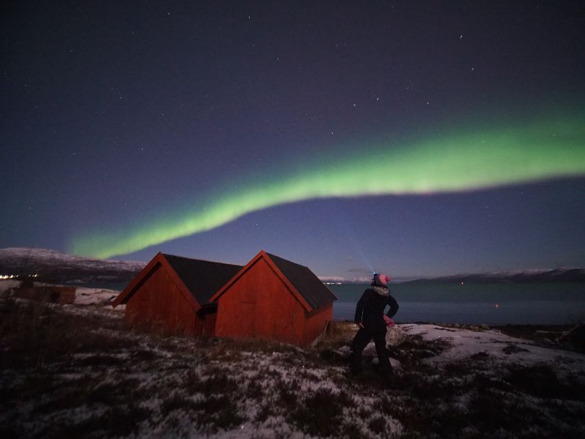 Alta: Small-Group Guided Northern Lights Tour - Choosing the best viewing spots around Alta Fjord