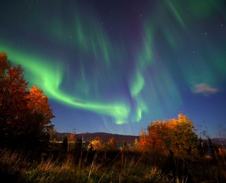 Alta: Small-Group Guided Northern Lights Tour - Stories that add meaning to the night