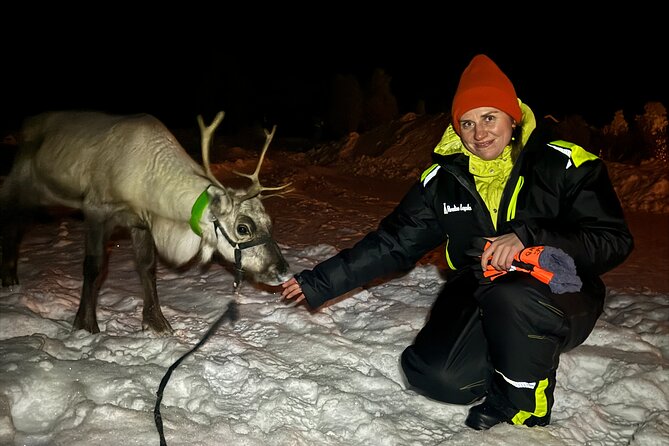 Arctic Adventure with Reindeer and Northern Lights Hunt 18:30 pm - A polar-night trip with two main rewards